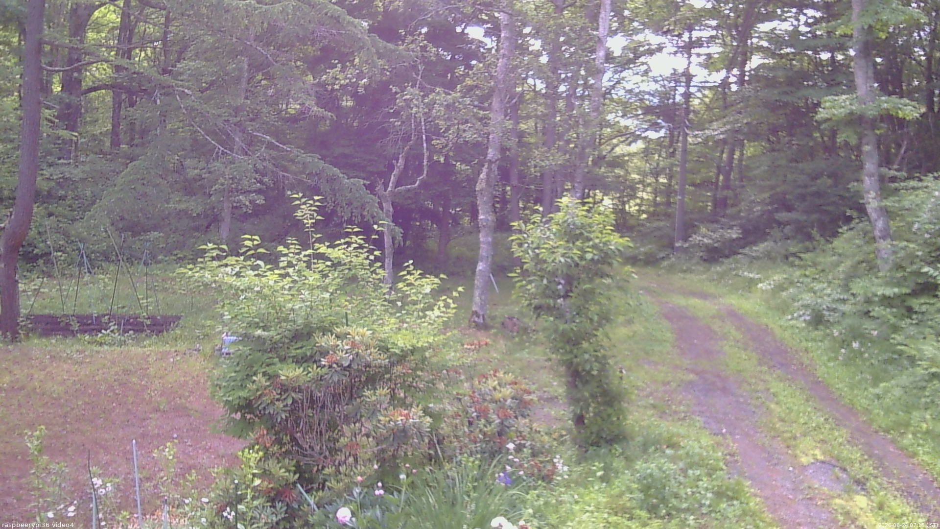 長野県菅平高原 ゆたか山荘 坂上 2026/06/24 07:15