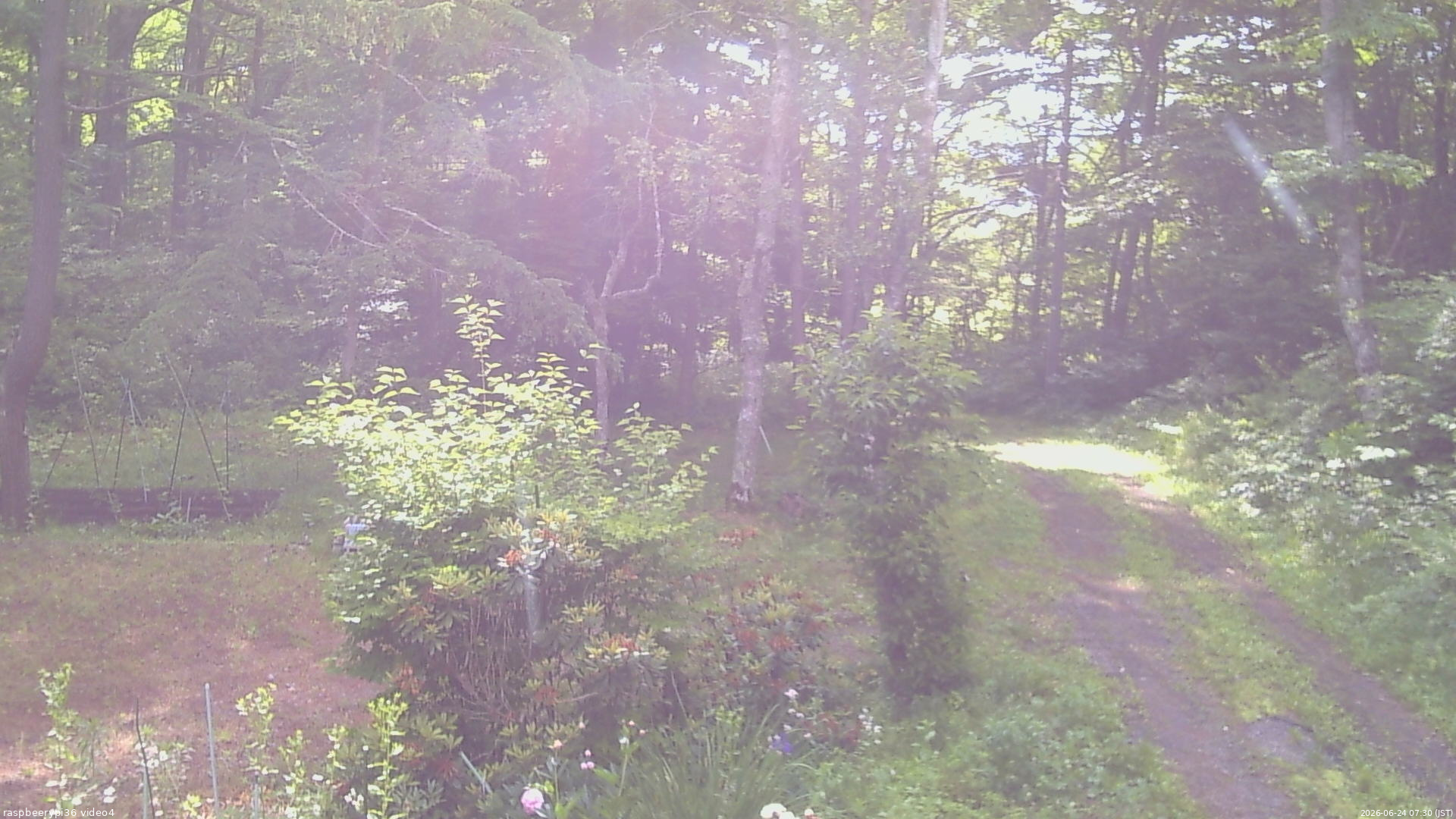 長野県菅平高原 ゆたか山荘 坂上 2026/06/24 07:30