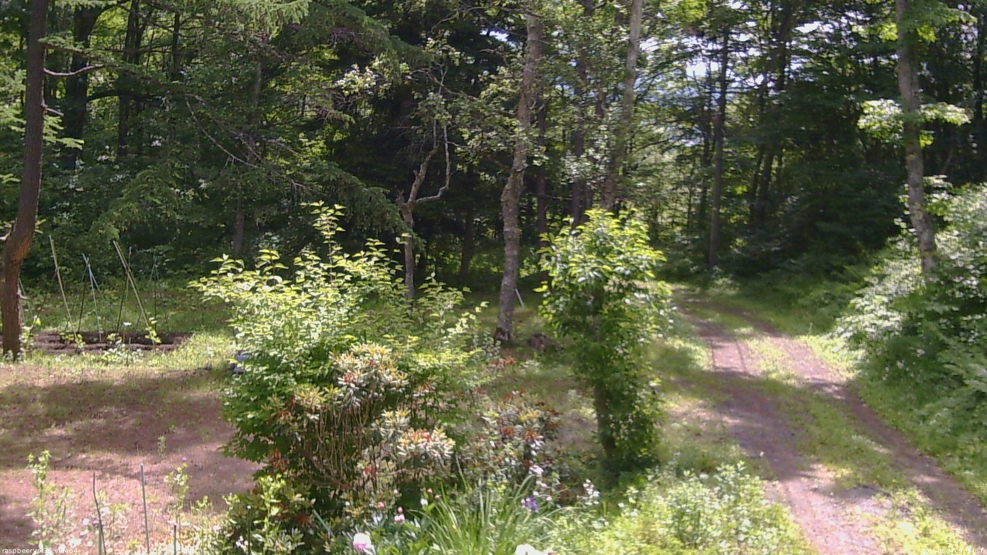 長野県菅平高原 ゆたか山荘 坂上 2026/06/24 09:30