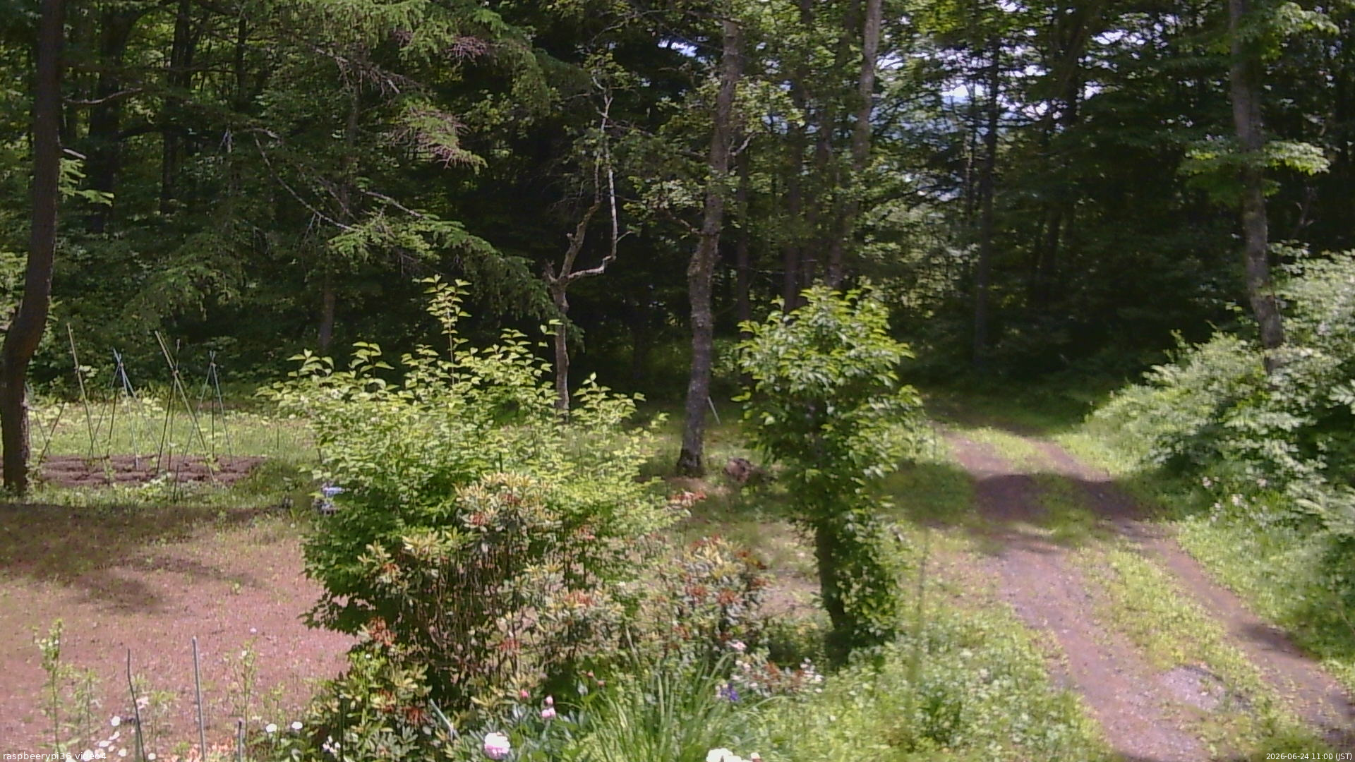 長野県菅平高原 ゆたか山荘 坂上 2026/06/24 11:00
