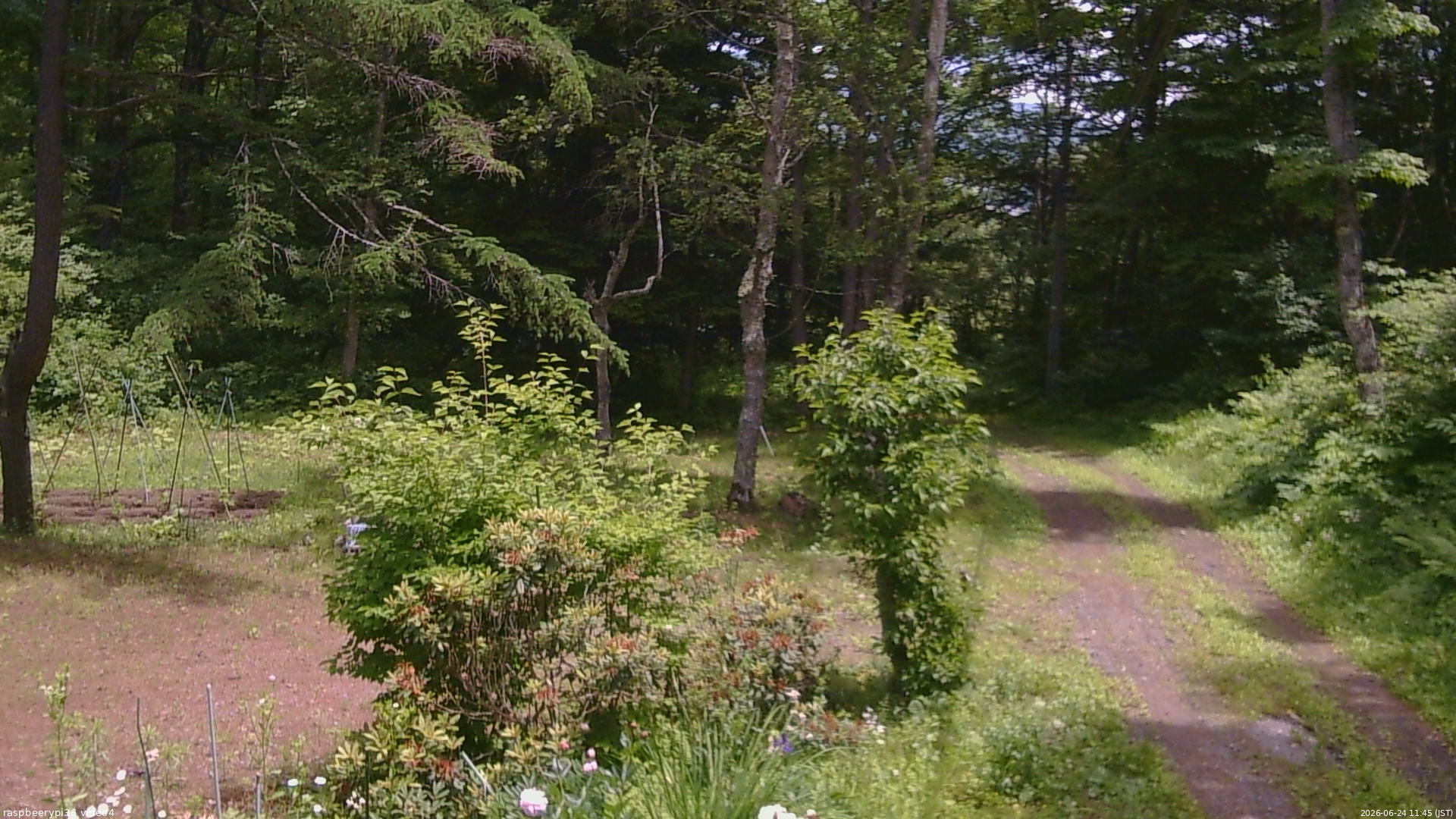 長野県菅平高原 ゆたか山荘 坂上 2026/06/24 11:45