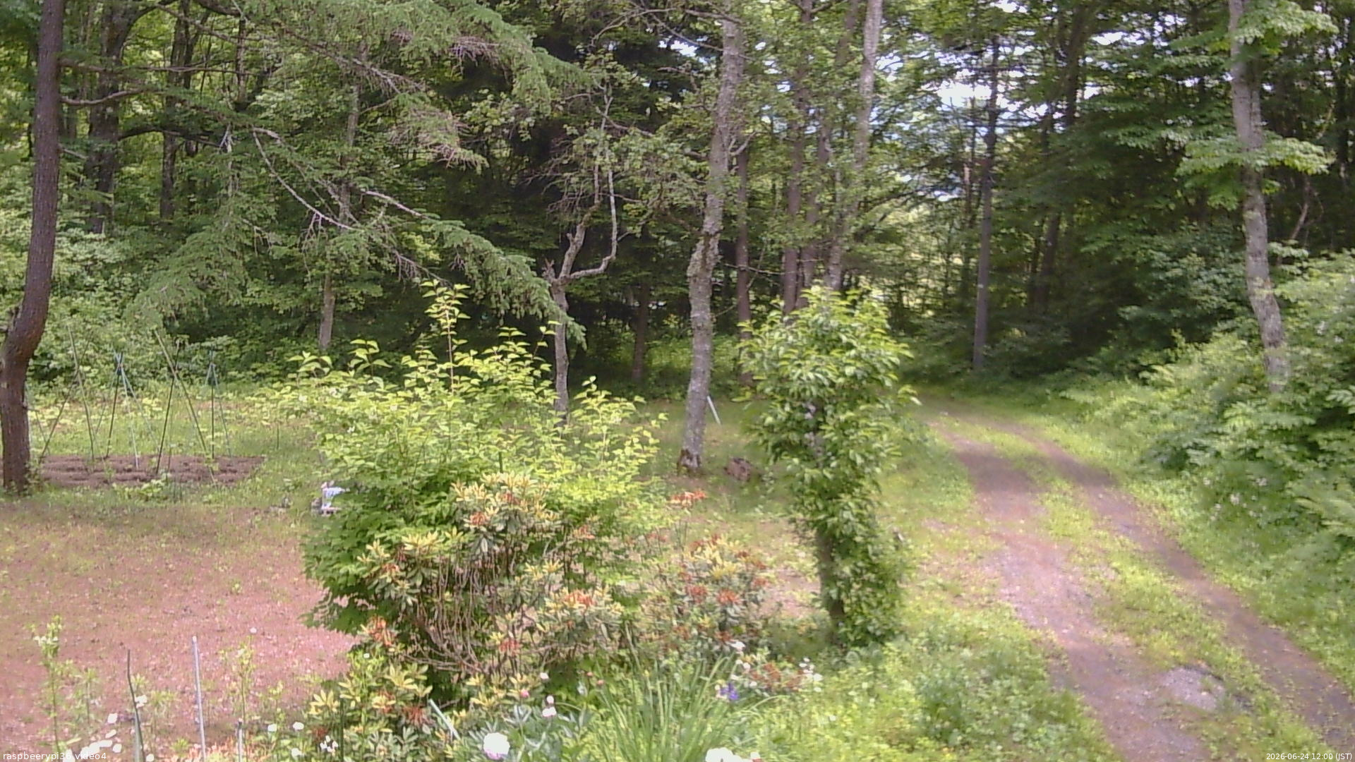 長野県菅平高原 ゆたか山荘 坂上 2026/06/24 12:00