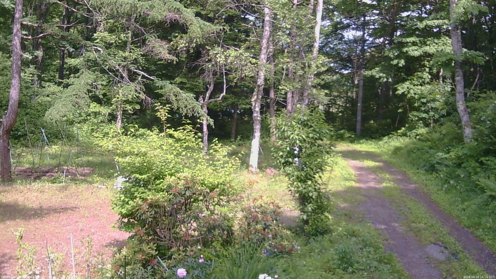 長野県菅平高原 ゆたか山荘 坂上 2026/06/24 14:15