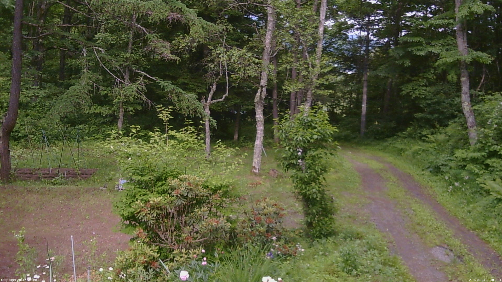 長野県菅平高原 ゆたか山荘 坂上 2026/06/24 15:30