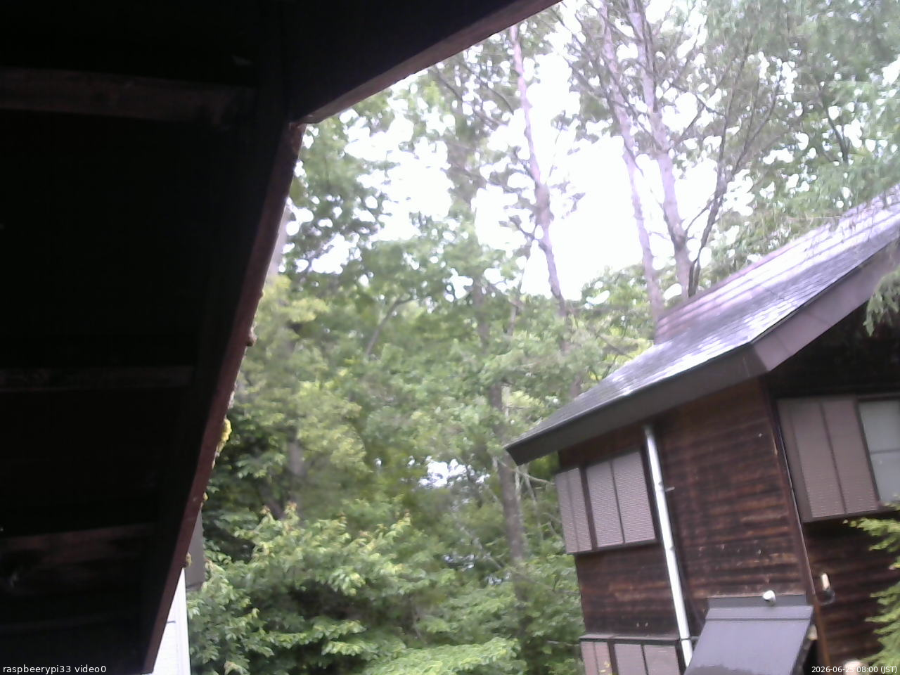 長野県菅平高原 ゆたか山荘 北側 2026/06/25 08:00