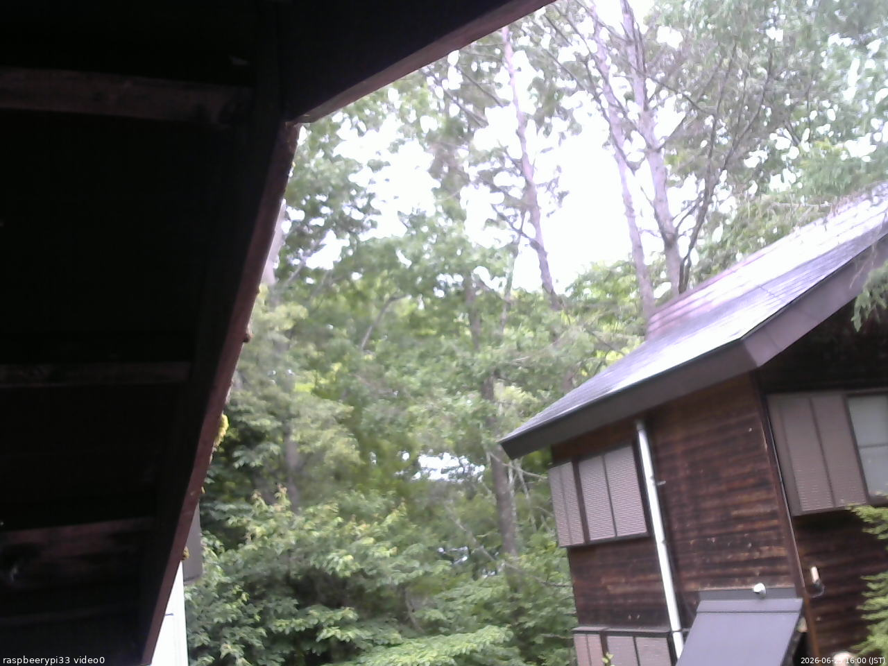 長野県菅平高原 ゆたか山荘 北側 2026/06/25 16:00