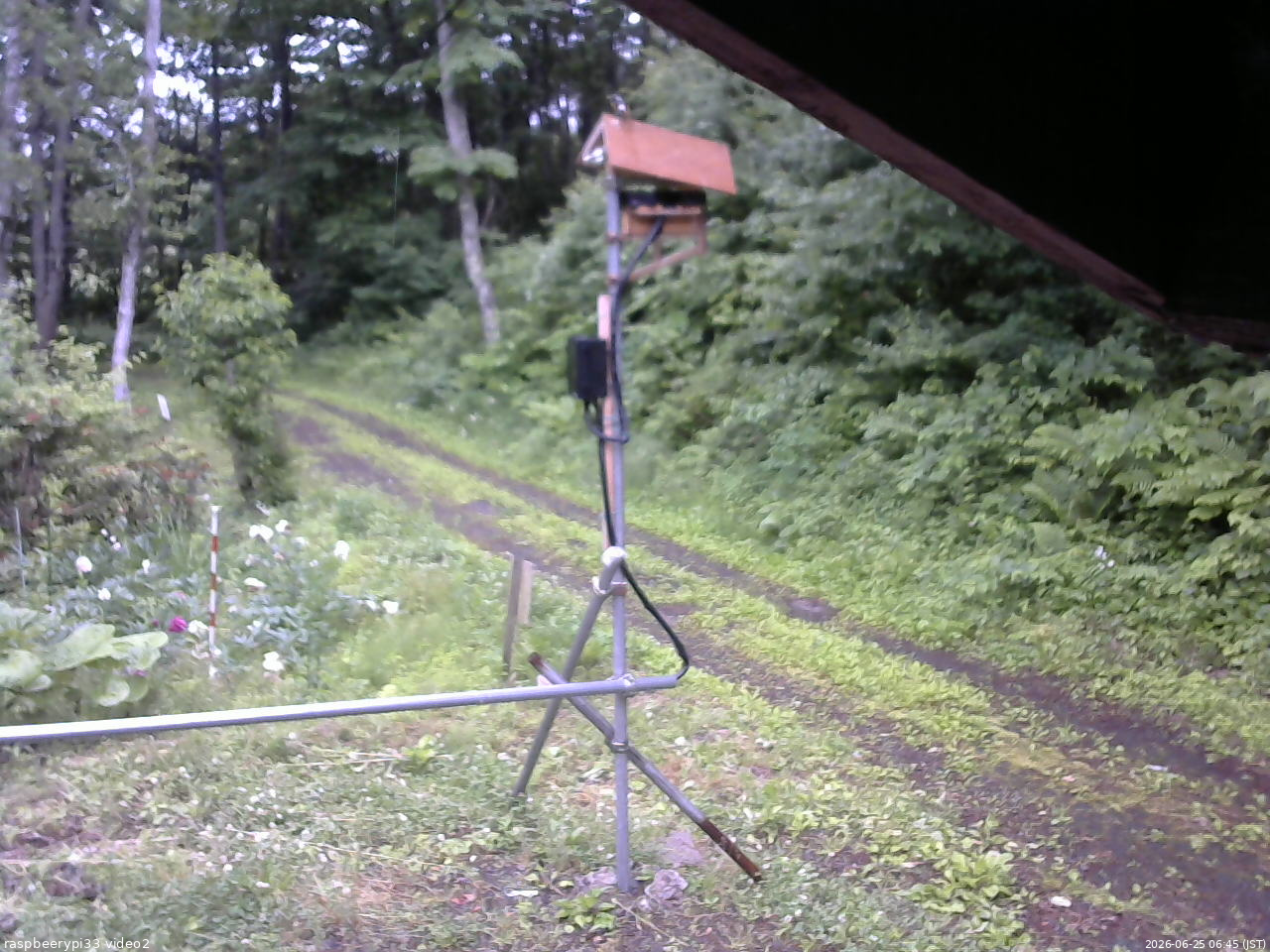 長野県菅平高原 ゆたか山荘 南側 2026/06/25 06:45