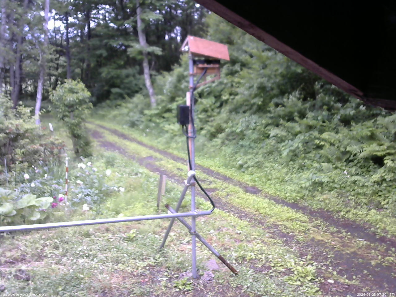 長野県菅平高原 ゆたか山荘 南側 2026/06/25 07:30