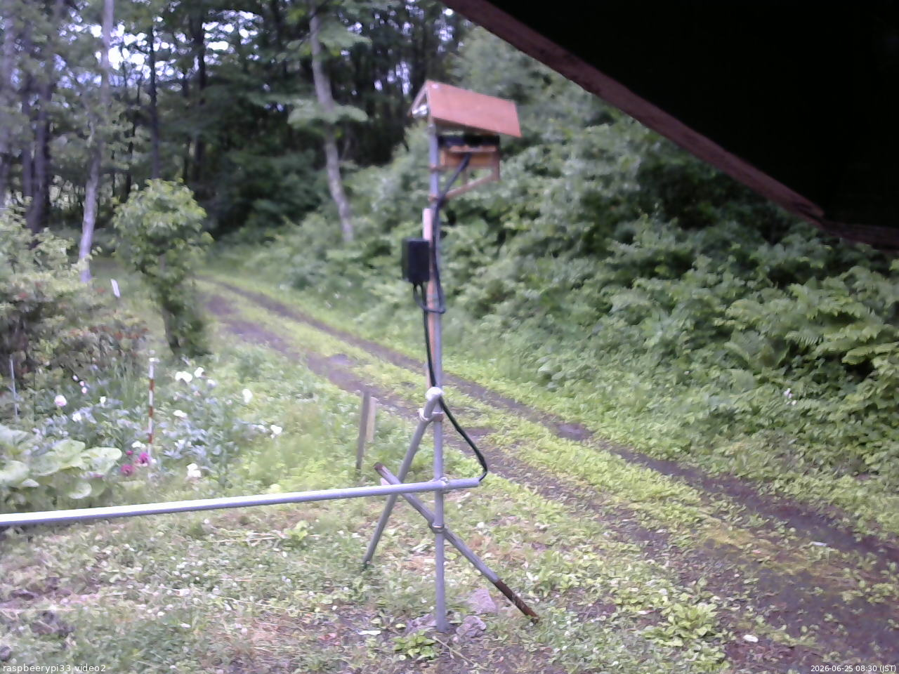 長野県菅平高原 ゆたか山荘 南側 2026/06/25 08:30