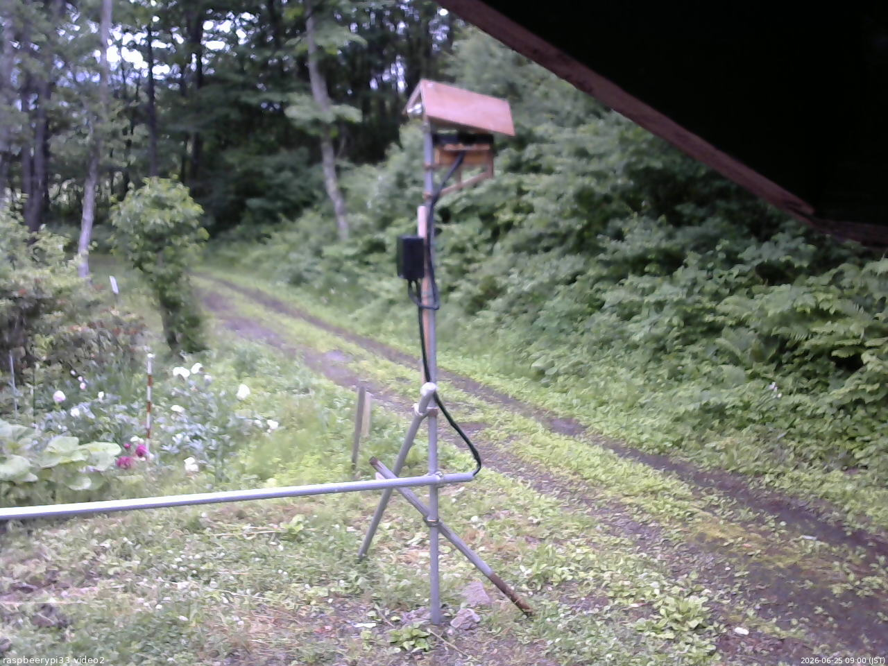 長野県菅平高原 ゆたか山荘 南側 2026/06/25 09:00