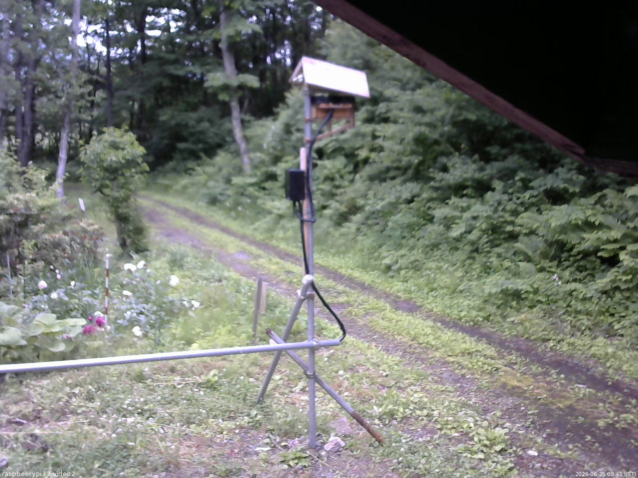長野県菅平高原 ゆたか山荘 南側 2026/06/25 09:45