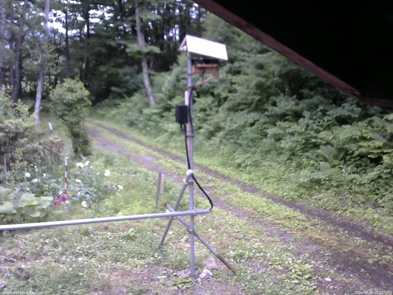 長野県菅平高原 ゆたか山荘 南側 2026/06/25 10:15