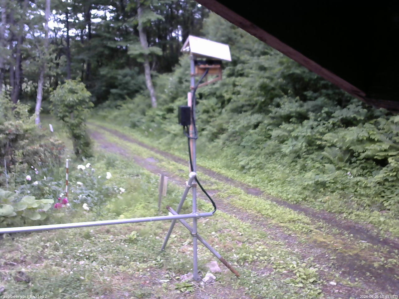 長野県菅平高原 ゆたか山荘 南側 2026/06/25 10:45