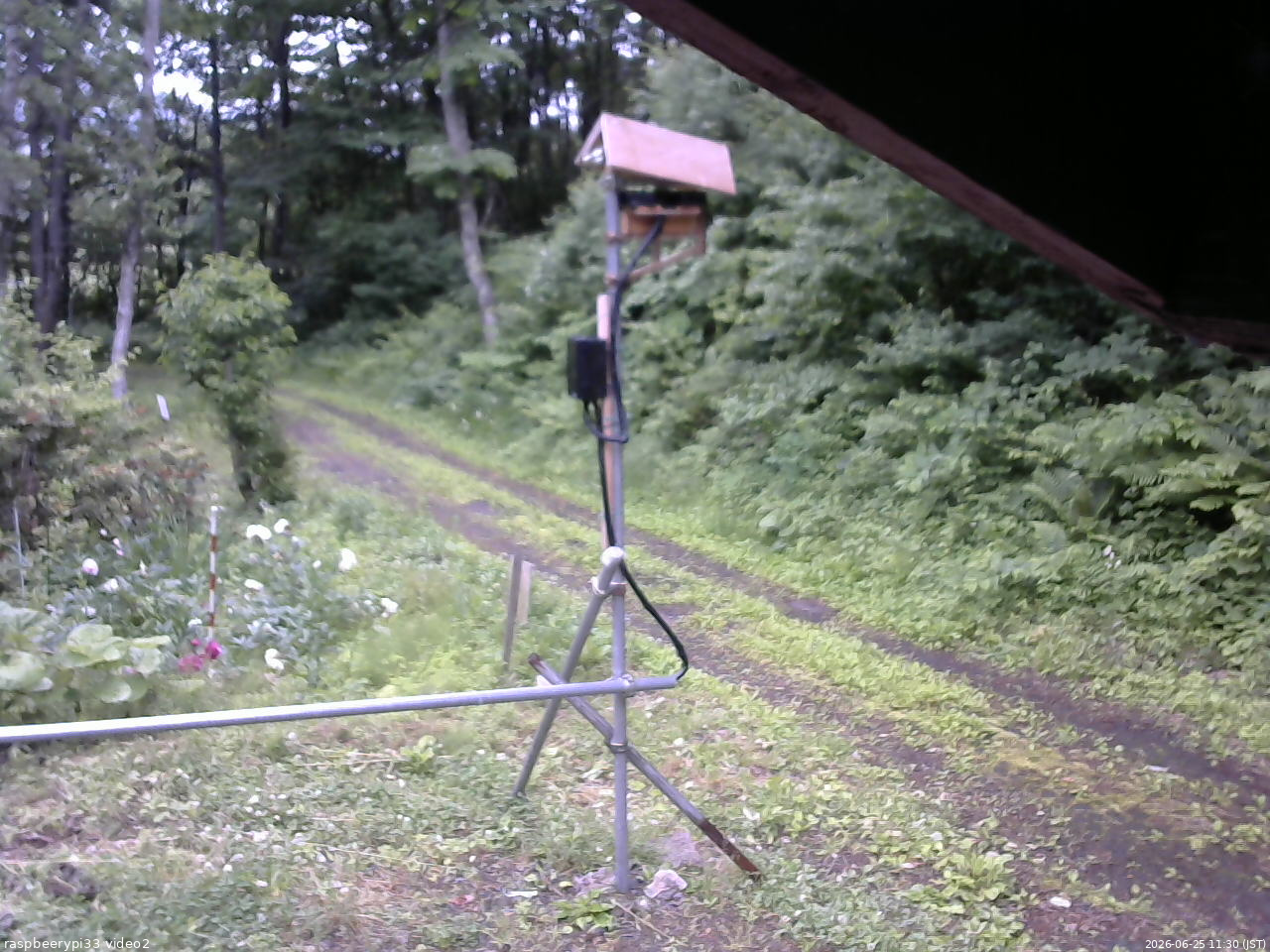 長野県菅平高原 ゆたか山荘 南側 2026/06/25 11:30