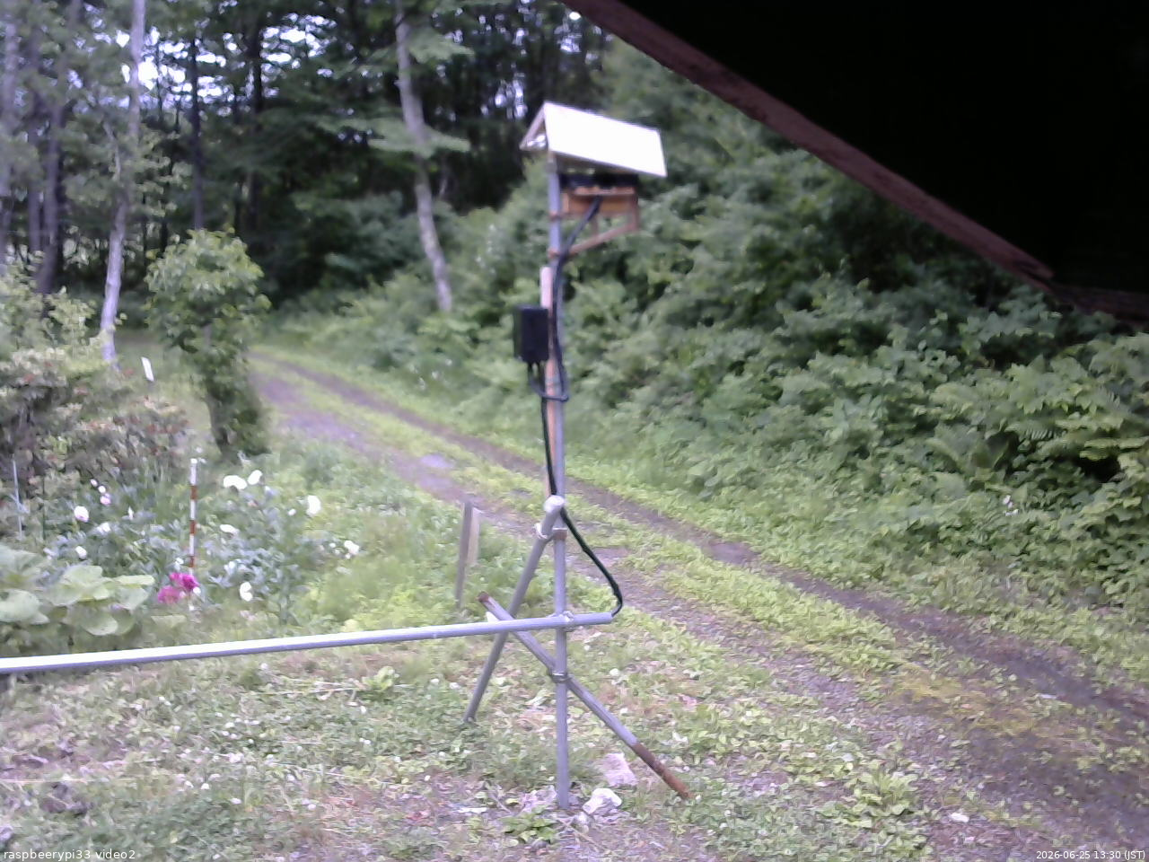 長野県菅平高原 ゆたか山荘 南側 2026/06/25 13:30
