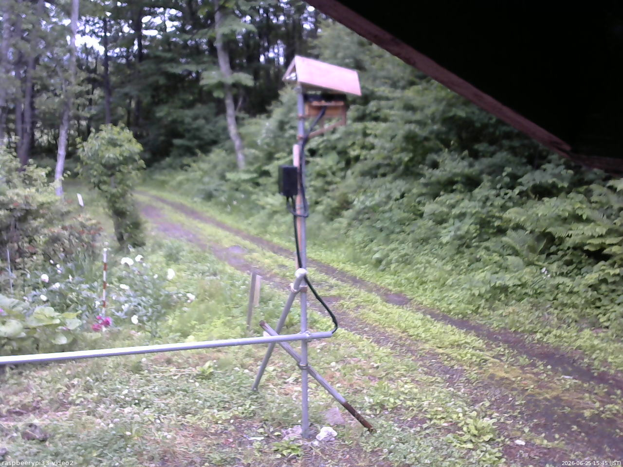 長野県菅平高原 ゆたか山荘 南側 2026/06/25 15:45