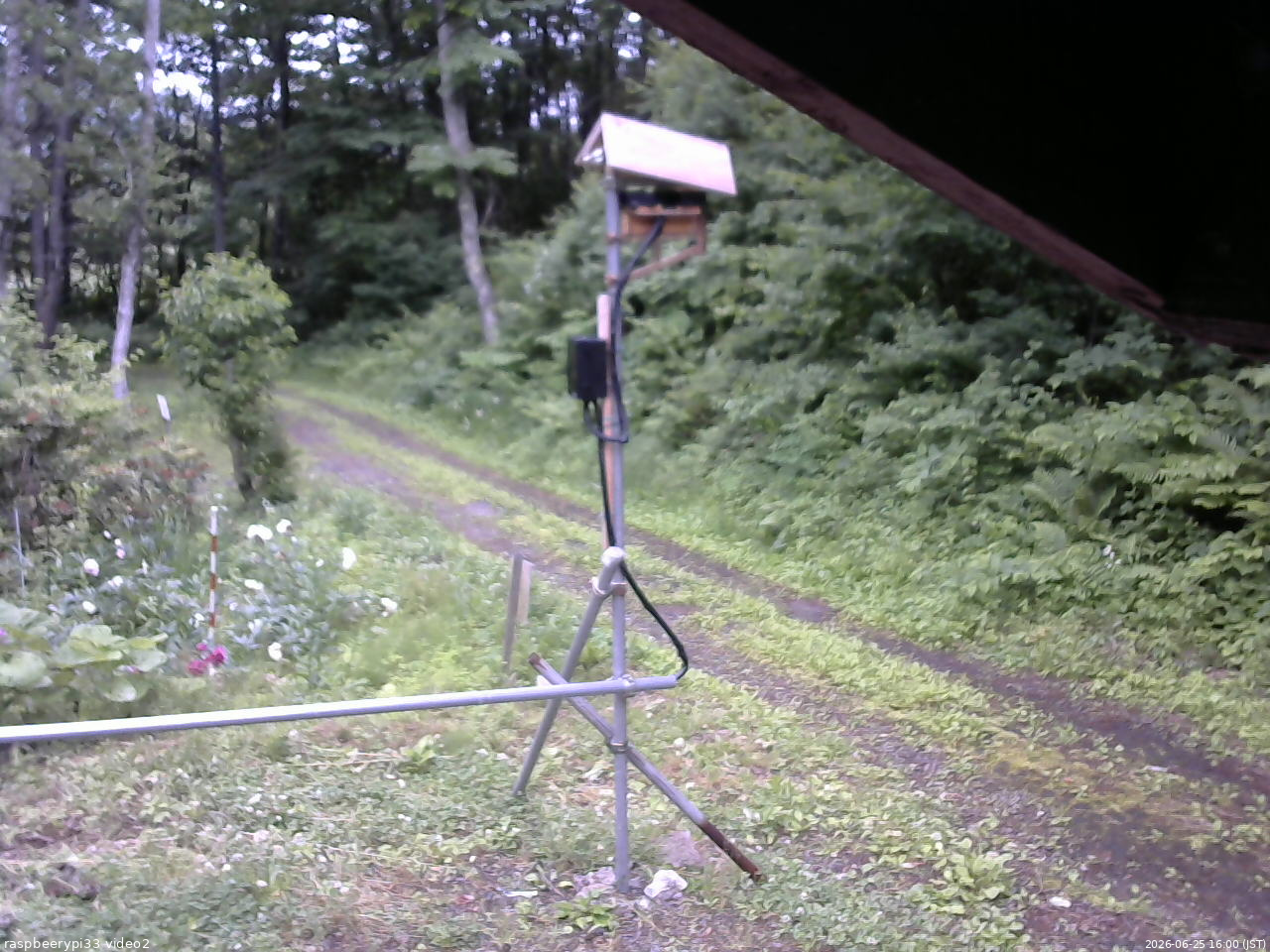 長野県菅平高原 ゆたか山荘 南側 2026/06/25 16:00