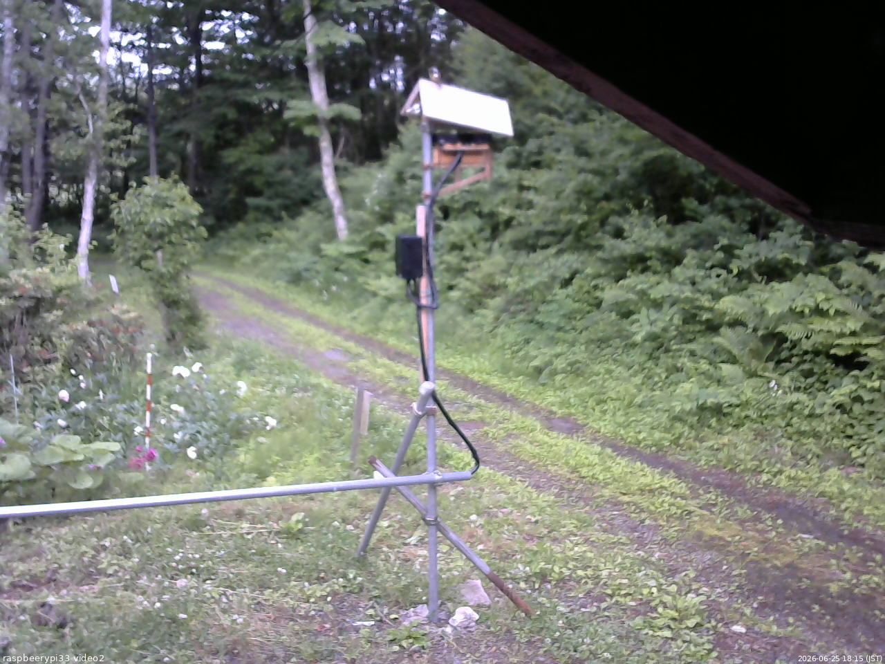 長野県菅平高原 ゆたか山荘 南側 2026/06/25 18:15