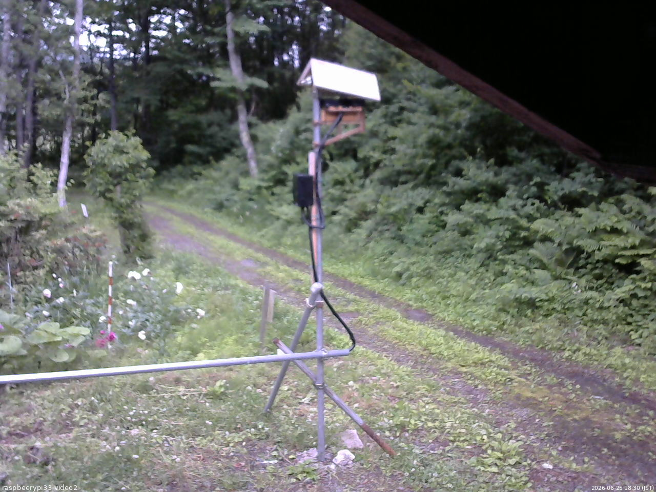 長野県菅平高原 ゆたか山荘 南側 2026/06/25 18:30