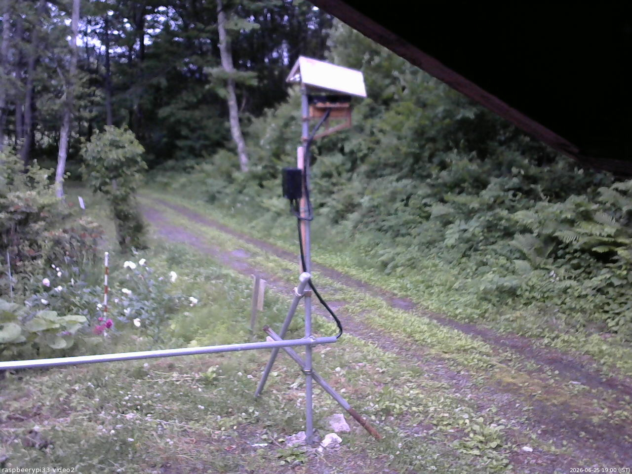 長野県菅平高原 ゆたか山荘 南側 2026/06/25 19:00