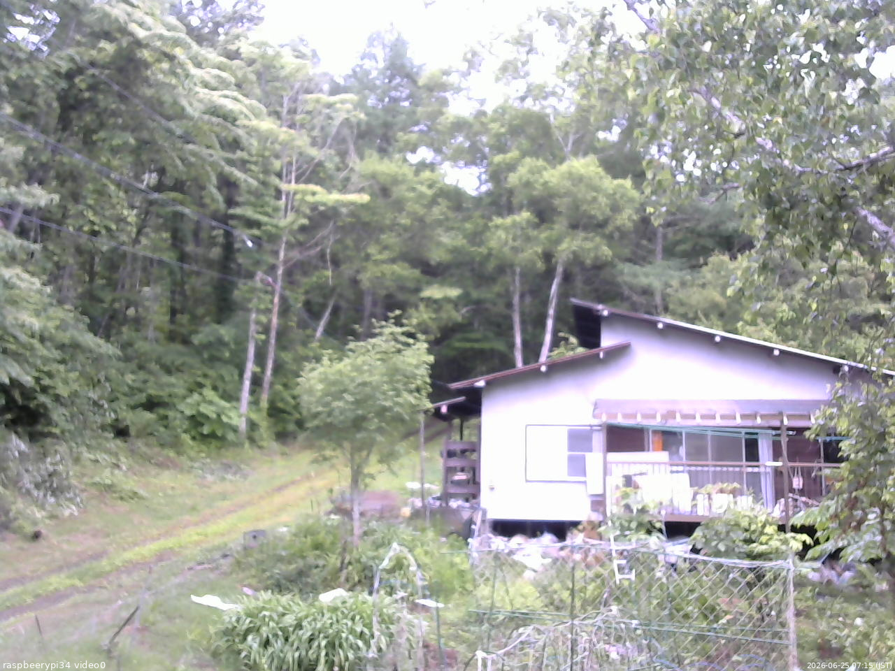 長野県菅平高原 ゆたか山荘 西側(坂上) 2026/06/25 07:15