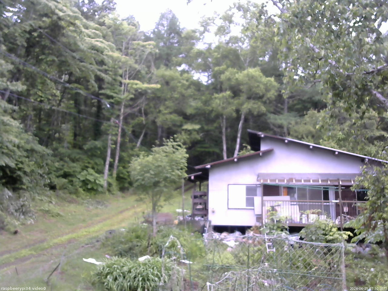 長野県菅平高原 ゆたか山荘 西側(坂上) 2026/06/25 07:30