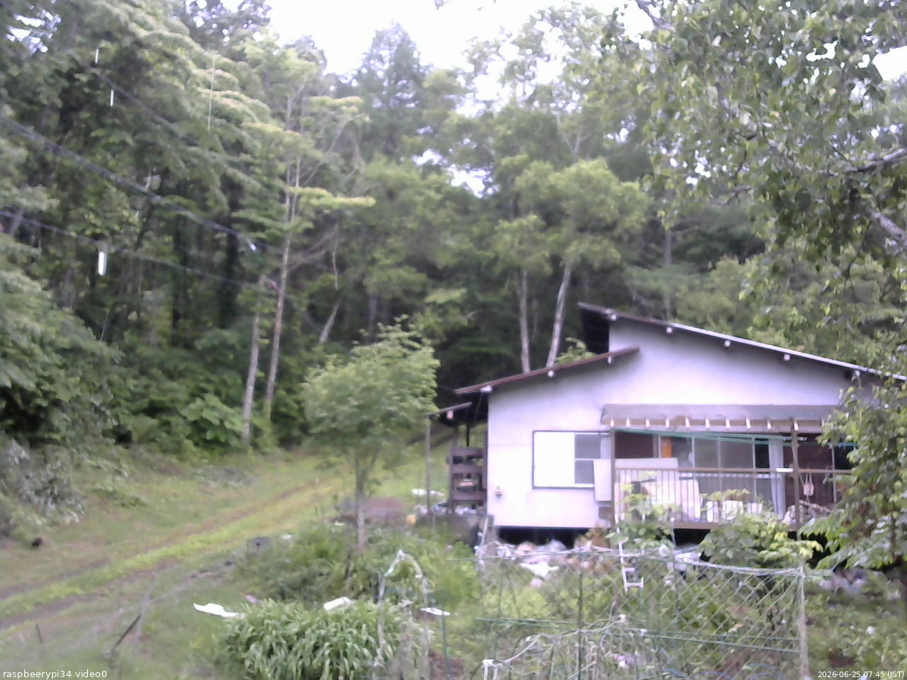 長野県菅平高原 ゆたか山荘 西側(坂上) 2026/06/25 07:45
