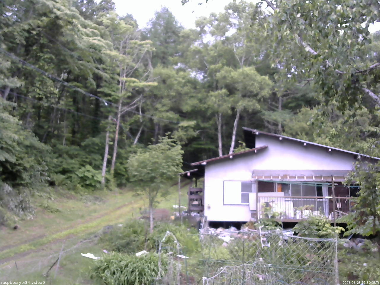 長野県菅平高原 ゆたか山荘 西側(坂上) 2026/06/25 11:30