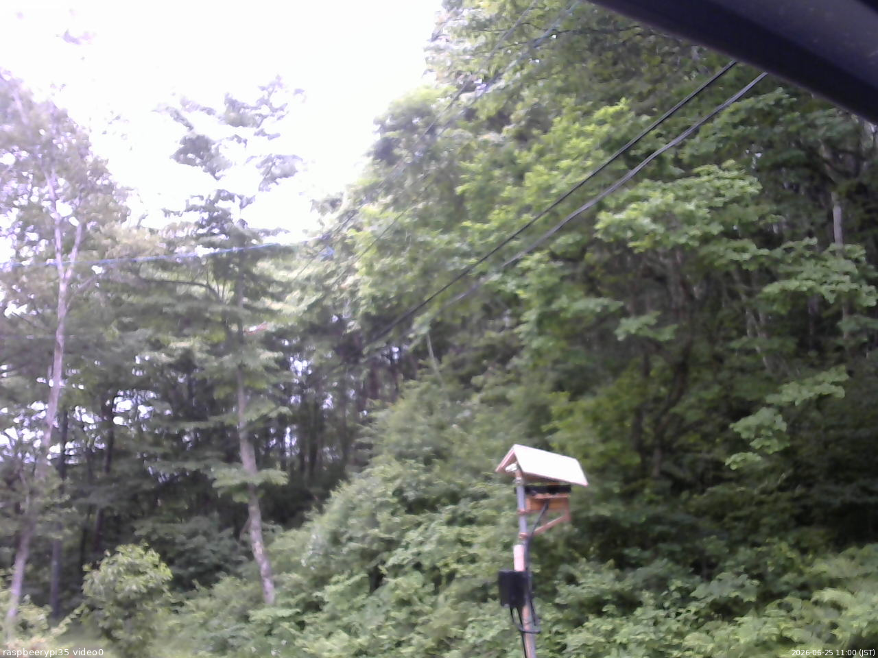 長野県菅平高原 ゆたか山荘 温度計 2026/06/25 11:00