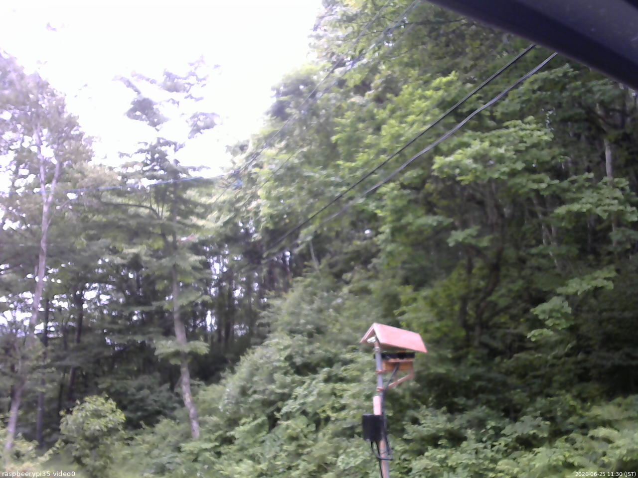 長野県菅平高原 ゆたか山荘 温度計 2026/06/25 11:30