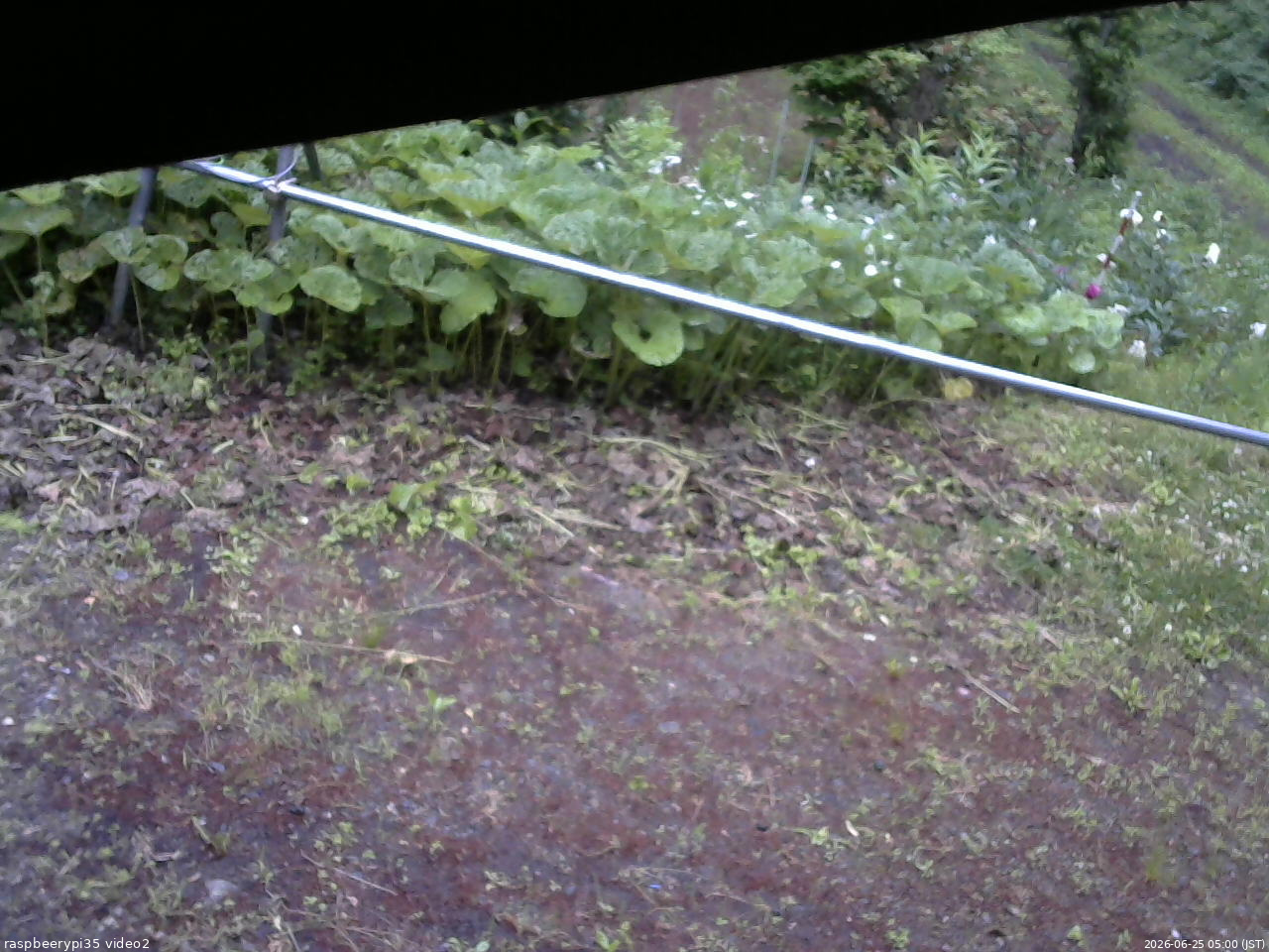 長野県菅平高原 ゆたか山荘 駐車場 2026/06/25 05:00