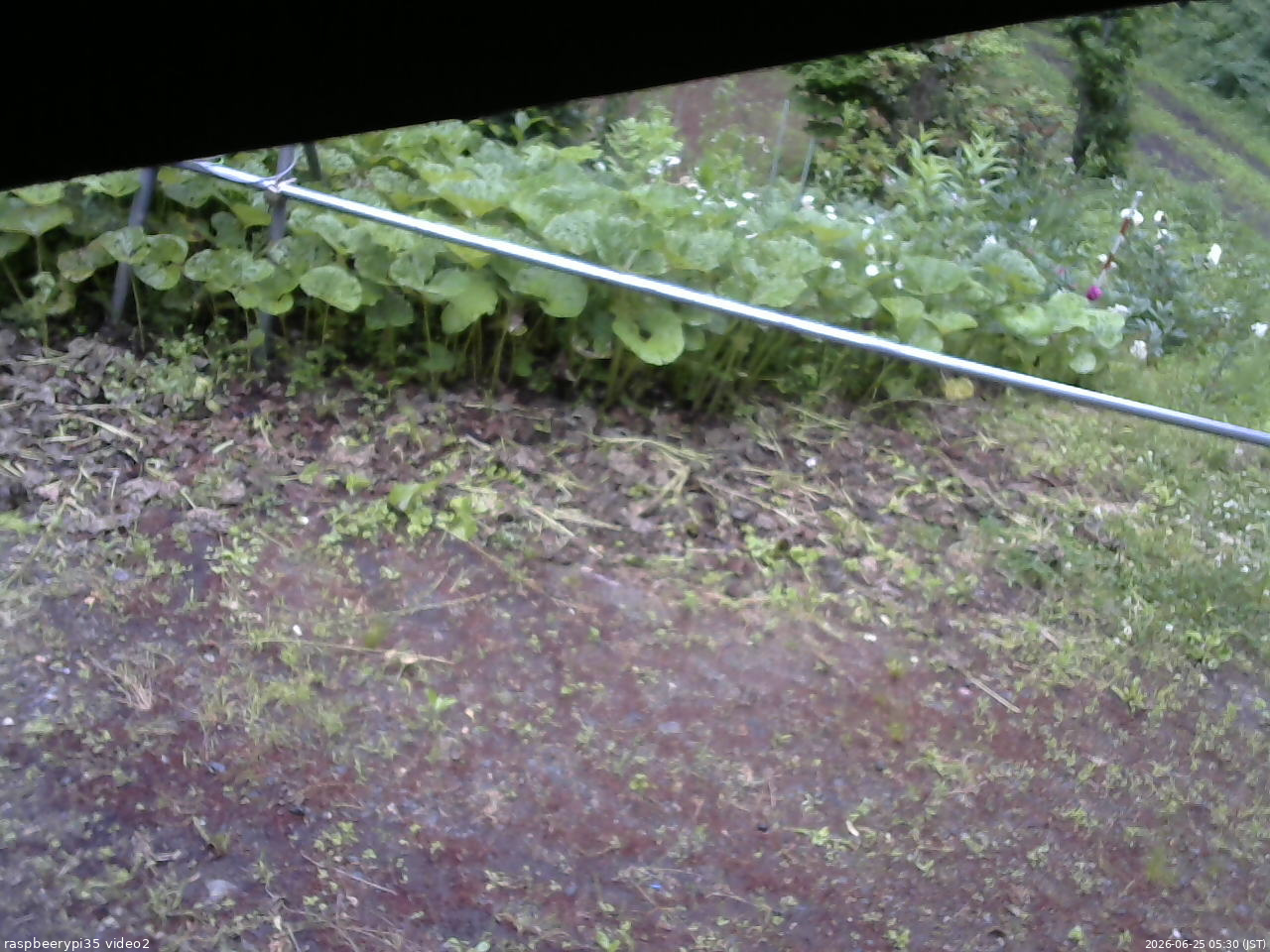 長野県菅平高原 ゆたか山荘 駐車場 2026/06/25 05:30