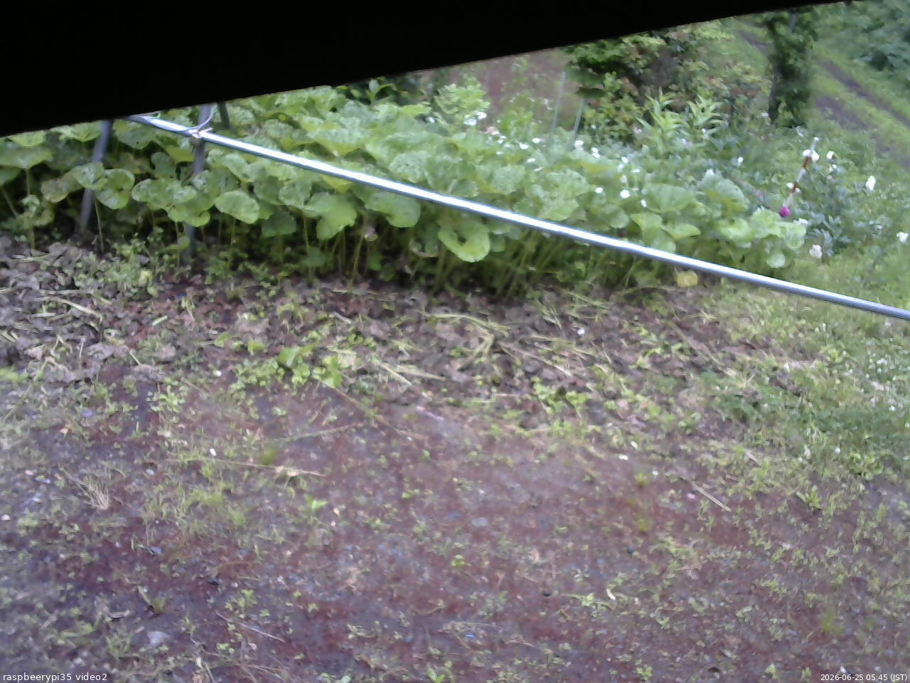 長野県菅平高原 ゆたか山荘 駐車場 2026/06/25 05:45
