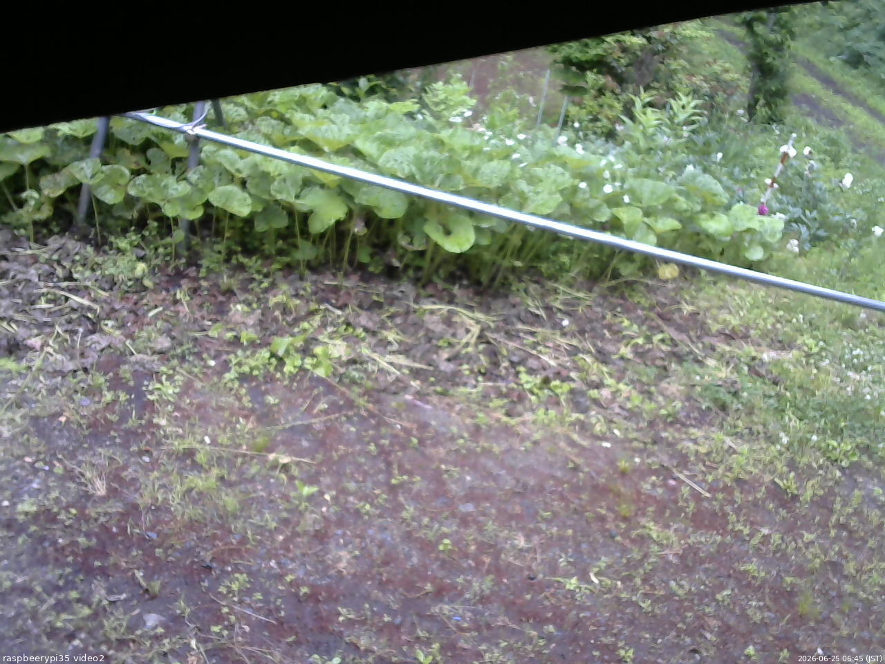 長野県菅平高原 ゆたか山荘 駐車場 2026/06/25 06:45