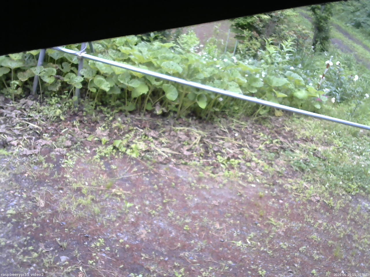 長野県菅平高原 ゆたか山荘 駐車場 2026/06/25 15:30