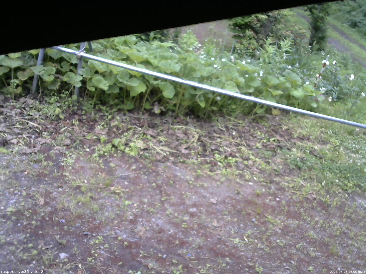 長野県菅平高原 ゆたか山荘 駐車場 2026/06/25 16:00