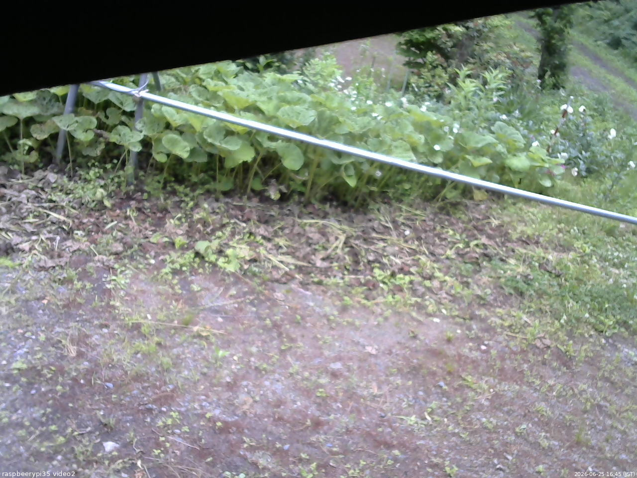 長野県菅平高原 ゆたか山荘 駐車場 2026/06/25 16:45
