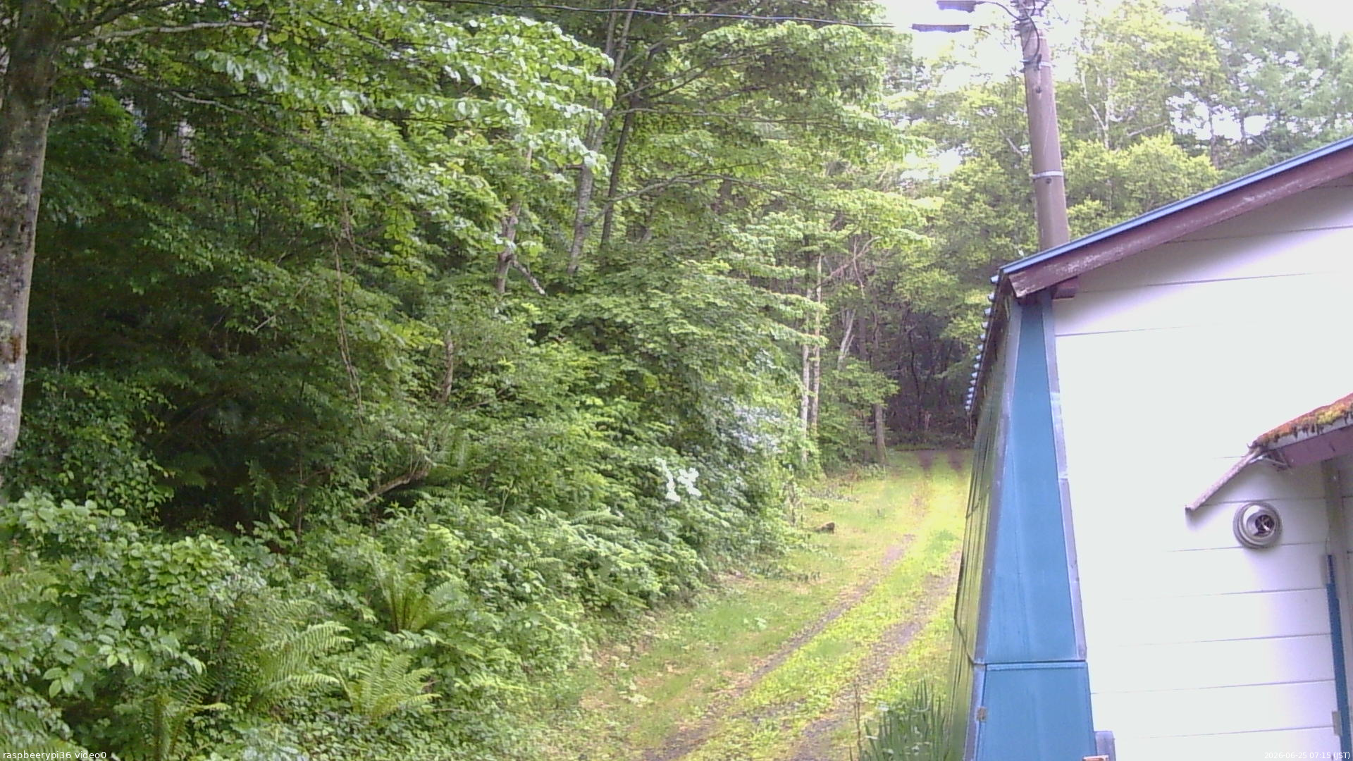 長野県菅平高原 ゆたか山荘 ゆたか山荘 2026/06/25 07:15