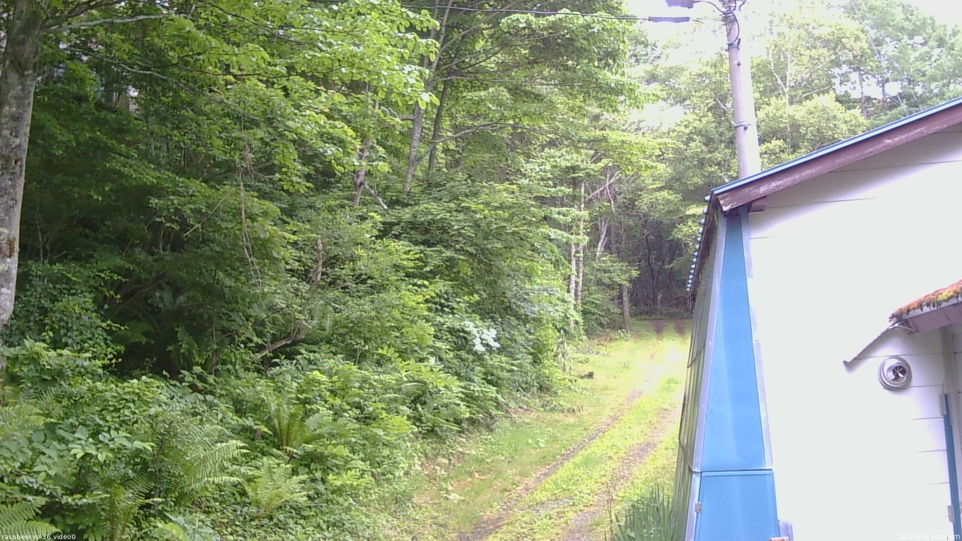 長野県菅平高原 ゆたか山荘 ゆたか山荘 2026/06/25 09:00