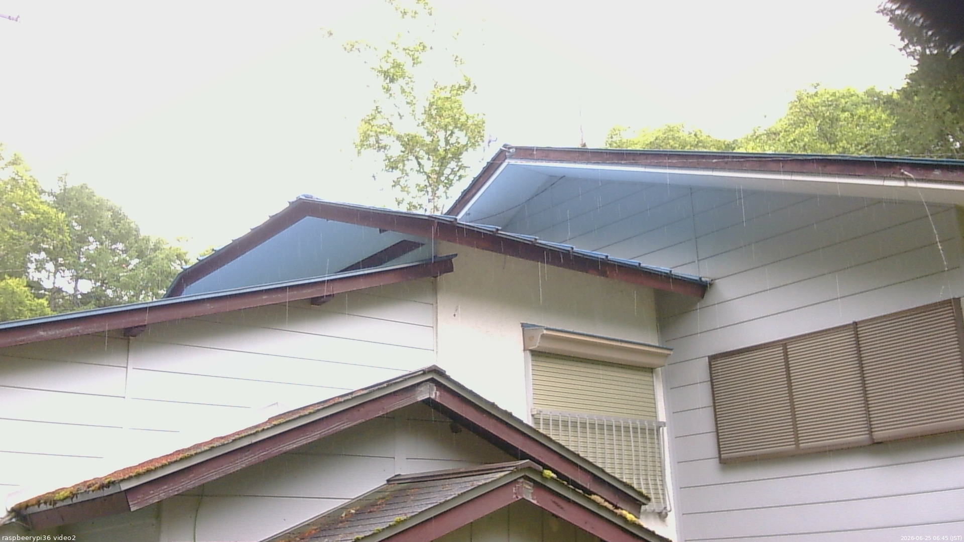 長野県菅平高原 ゆたか山荘 駐車場奥 2026/06/25 06:45