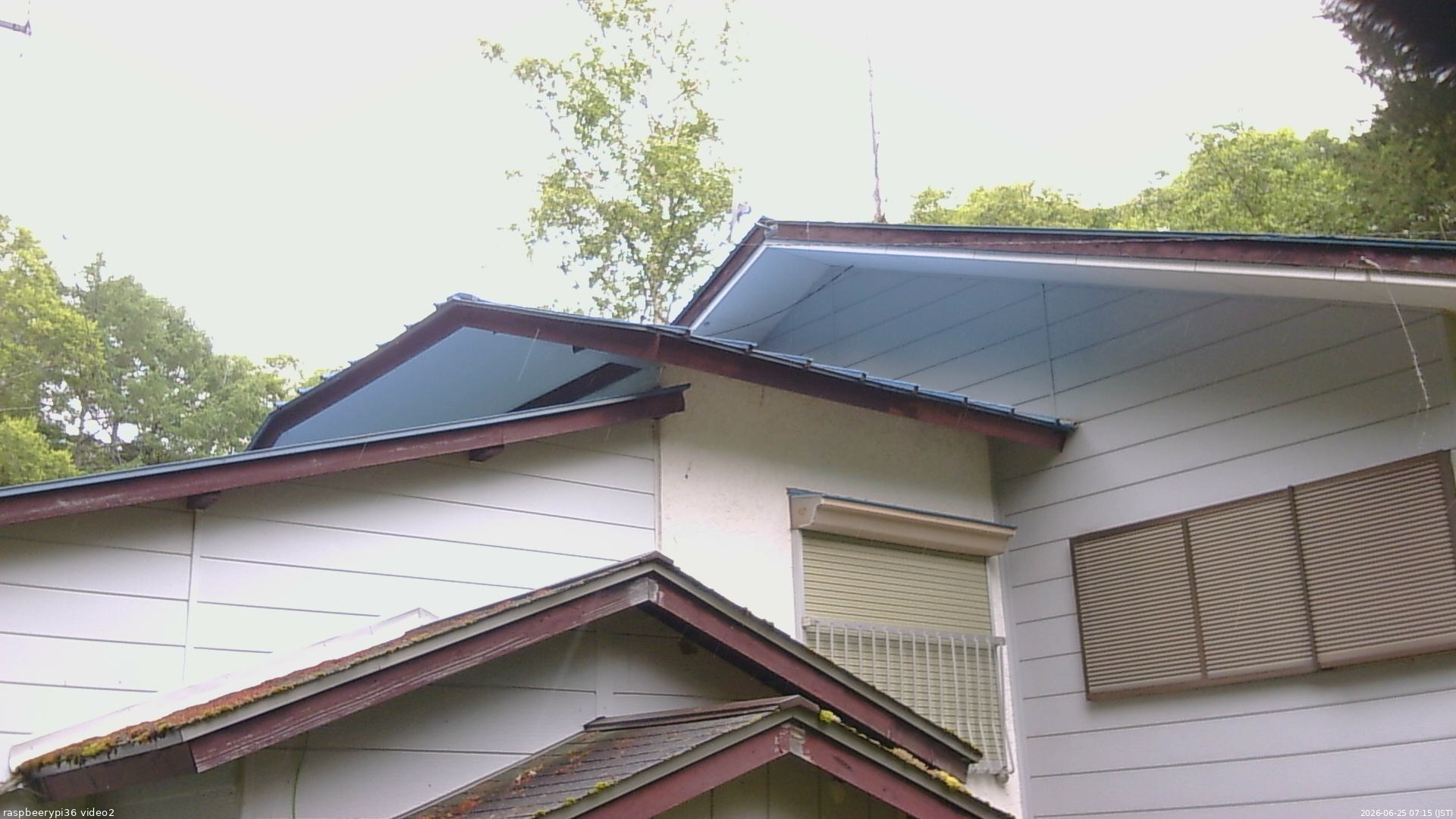 長野県菅平高原 ゆたか山荘 駐車場奥 2026/06/25 07:15