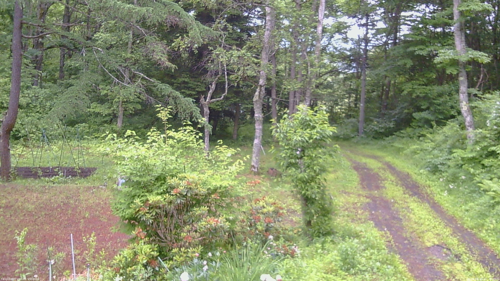 長野県菅平高原 ゆたか山荘 坂上 2026/06/25 07:30