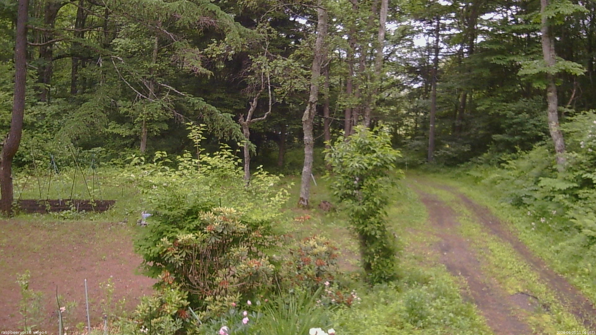 長野県菅平高原 ゆたか山荘 坂上 2026/06/25 11:00
