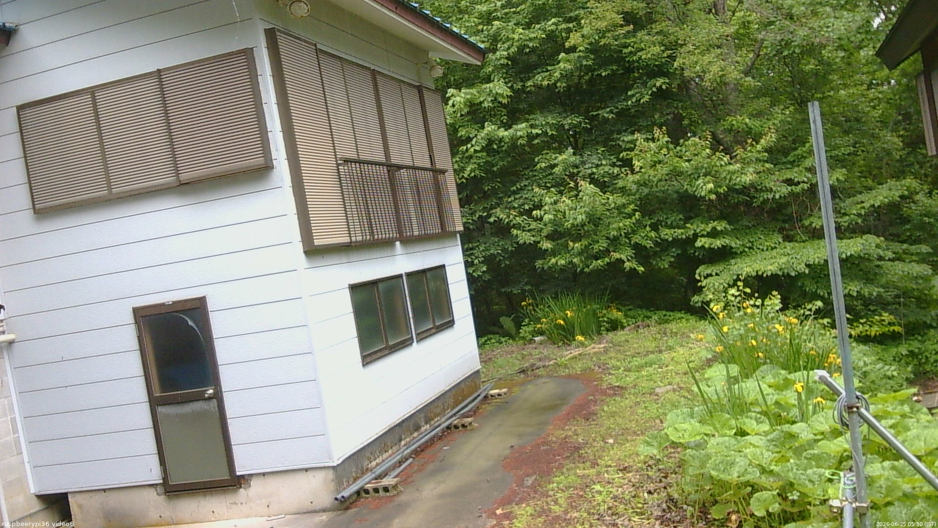 長野県菅平高原 ゆたか山荘 坂下 2026/06/25 05:30