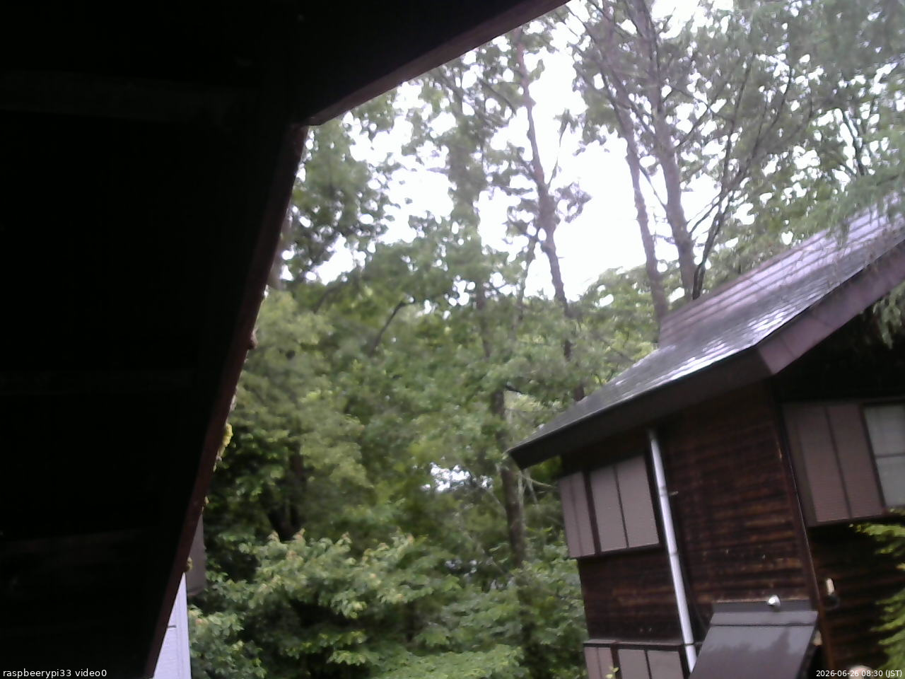 長野県菅平高原 ゆたか山荘 北側 2026/06/26 08:30