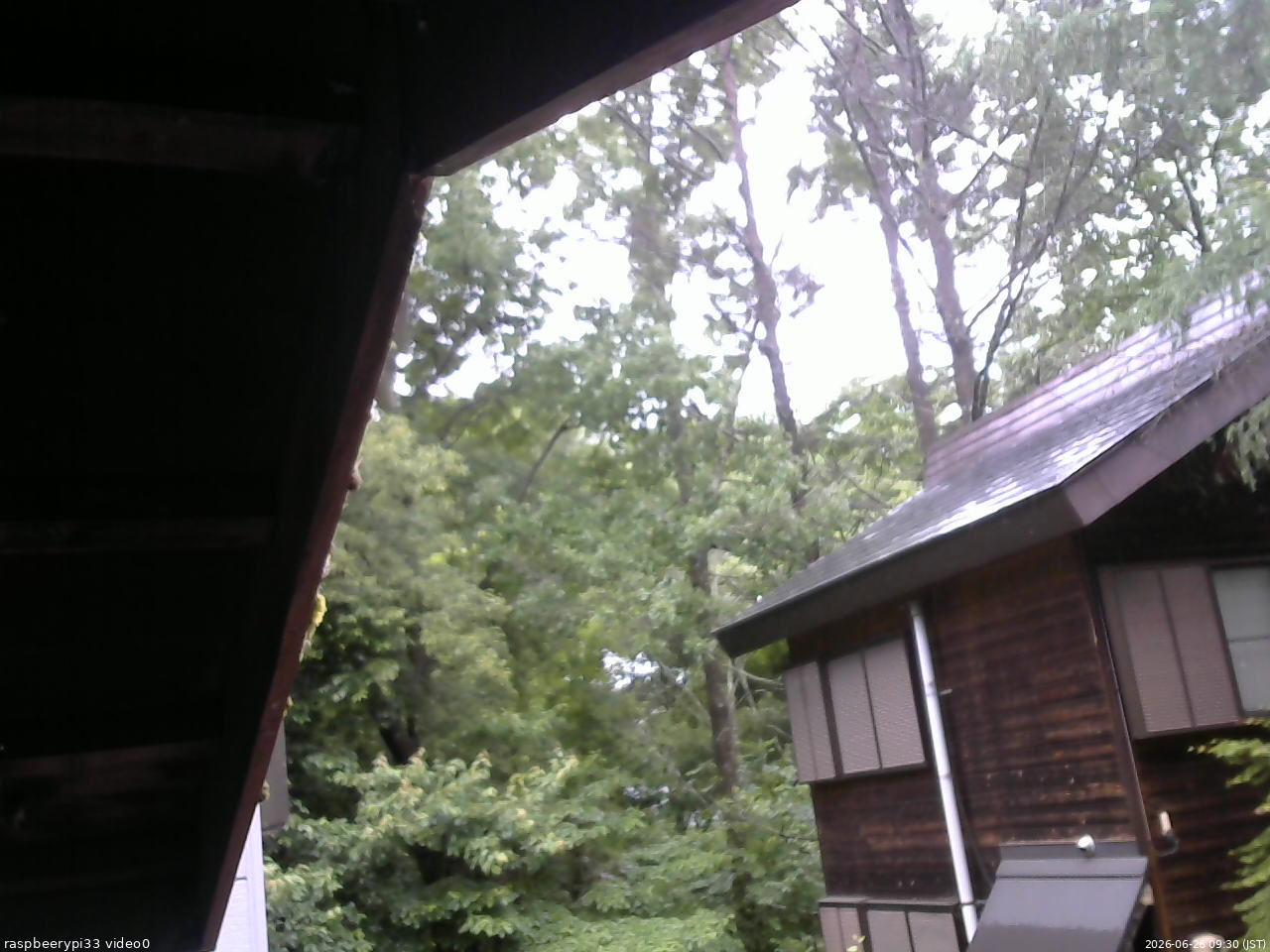長野県菅平高原 ゆたか山荘 北側 2026/06/26 09:30