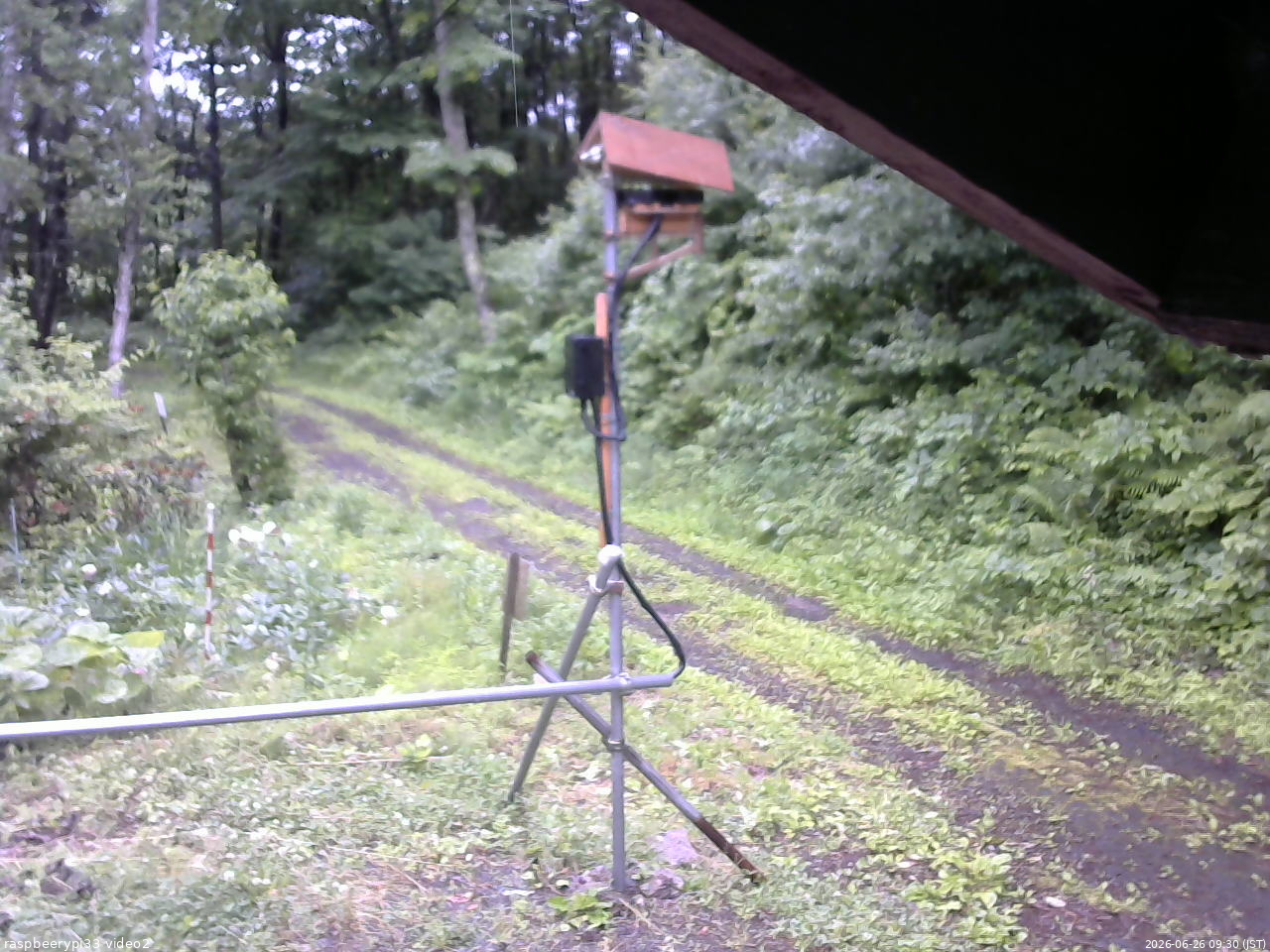 長野県菅平高原 ゆたか山荘 南側 2026/06/26 09:30