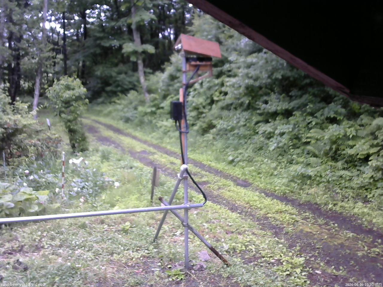 長野県菅平高原 ゆたか山荘 南側 2026/06/26 10:30