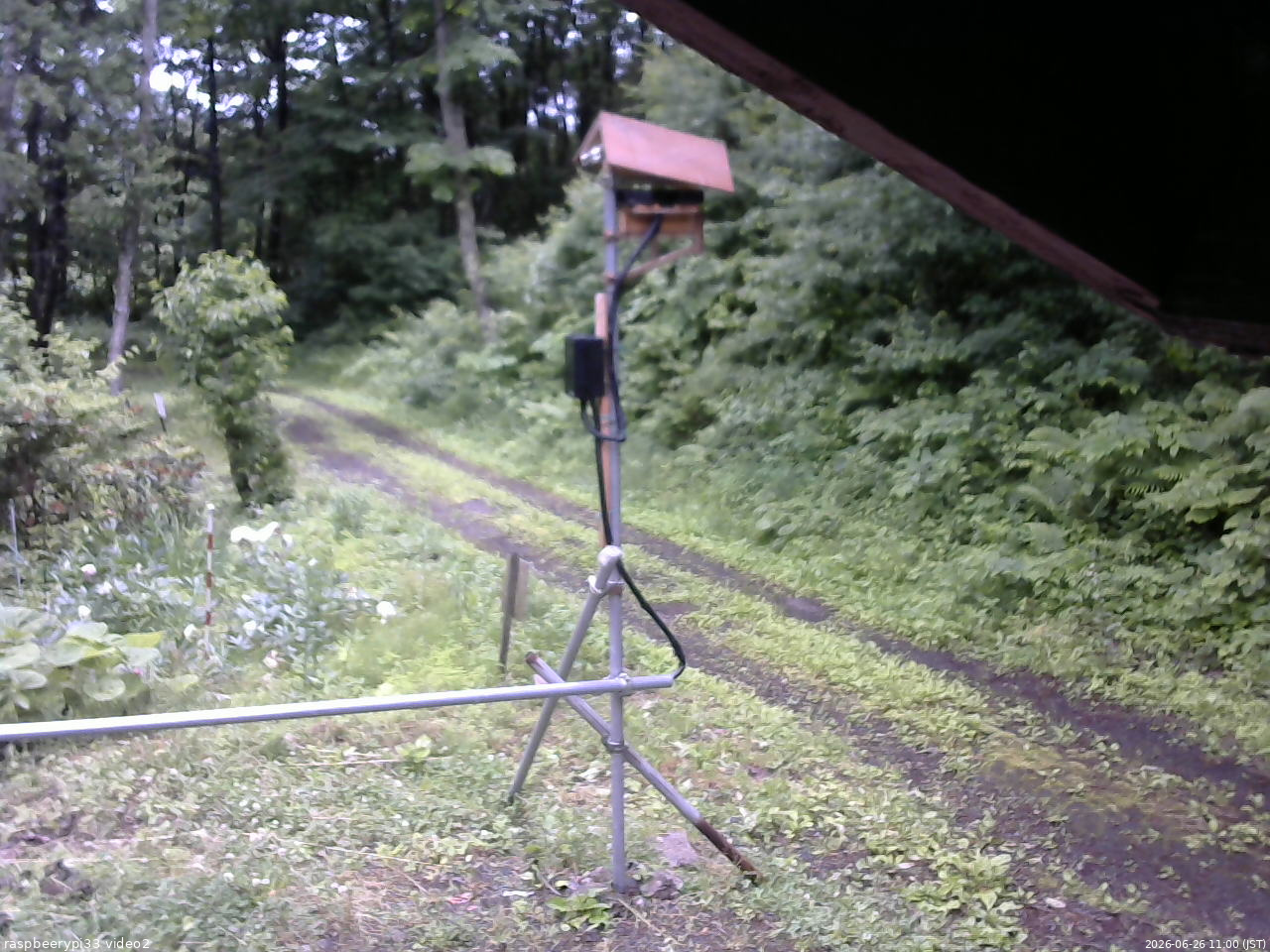 長野県菅平高原 ゆたか山荘 南側 2026/06/26 11:00