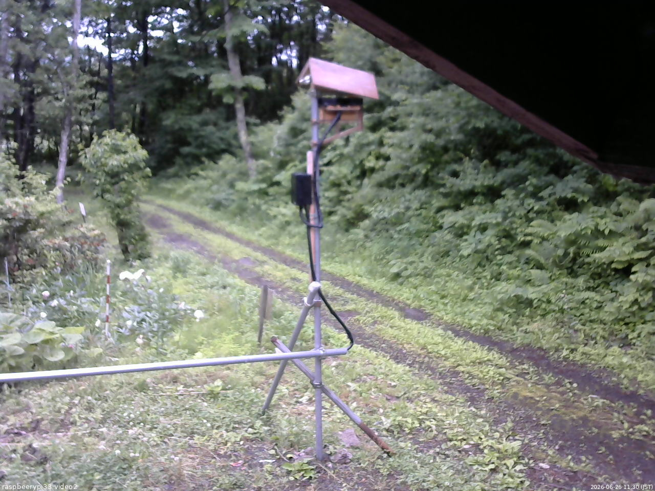 長野県菅平高原 ゆたか山荘 南側 2026/06/26 11:30